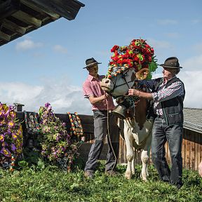 Zwei Männer in traditioneller Tracht schmücken eine Kuh mit Blumen vor einer Holzhütte. Weitere Blumengestecke stehen neben ihnen auf einer grünen Wiese.