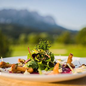 Ein Teller mit kunstvoll angerichteter Gourmet-Vorspeise vor einer unscharfen Berglandschaft, die einen sonnigen Tag in den Alpen suggeriert.