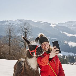 Eine Person in Winterkleidung macht ein Selfie mit einem Lama im verschneiten Berggebiet. Die Sonne scheint, und die Umgebung ist von schneebedeckten Hügeln umgeben.