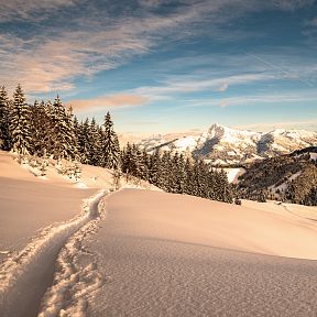Winter landscape with snow-covered hills, pine trees, and mountains in the background under a blue sky with clouds.
