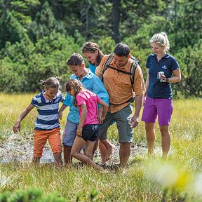 Eine Gruppe von Menschen, darunter Kinder und Erwachsene, wandert gemeinsam durch eine grüne, moosige Landschaft an einem sonnigen Tag.