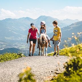 Drei Kinder begleiten ein Pony auf einem sonnigen Wanderweg in den Bergen. Im Hintergrund sind grüne Hänge und blaue Himmel mit ein paar Wolken zu sehen.