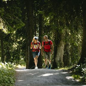 Zwei Personen wandern auf einem schattigen Waldweg inmitten dichter Bäume. Die Sonne scheint durch das Laub, und sie tragen sportliche Kleidung mit Rucksäcken.