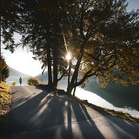 A cyclist rides on a path by a lake in the Wilder Kaiser region, with sun rays filtering through trees, creating a peaceful evening atmosphere.