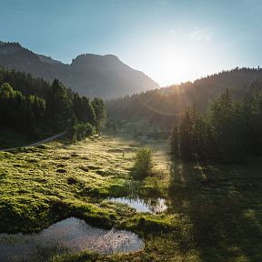 Ein malerisches Tal bei Sonnenaufgang, umgeben von bewaldeten Bergen, im Vordergrund ein kleiner Teich. Weiches Licht taucht die Szene in warme Farben.