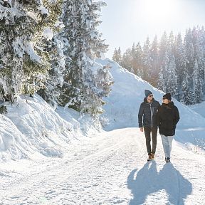 Two people walking on a snowy path in the Wilder Kaiser region, surrounded by snow-covered trees and under a sunny sky, showcasing a serene winter landscape.