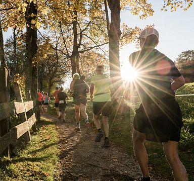 Menschen joggen auf einem Waldweg bei Sonnenuntergang. Das Sonnenlicht bricht durch die Bäume und die herbstlichen Blätter leuchten golden.