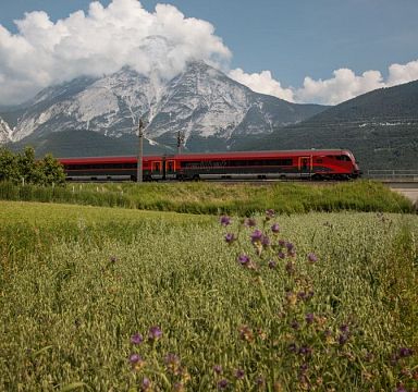 Zug überquert Bahnbrücke in grüner Landschaft vor Bergmassiv