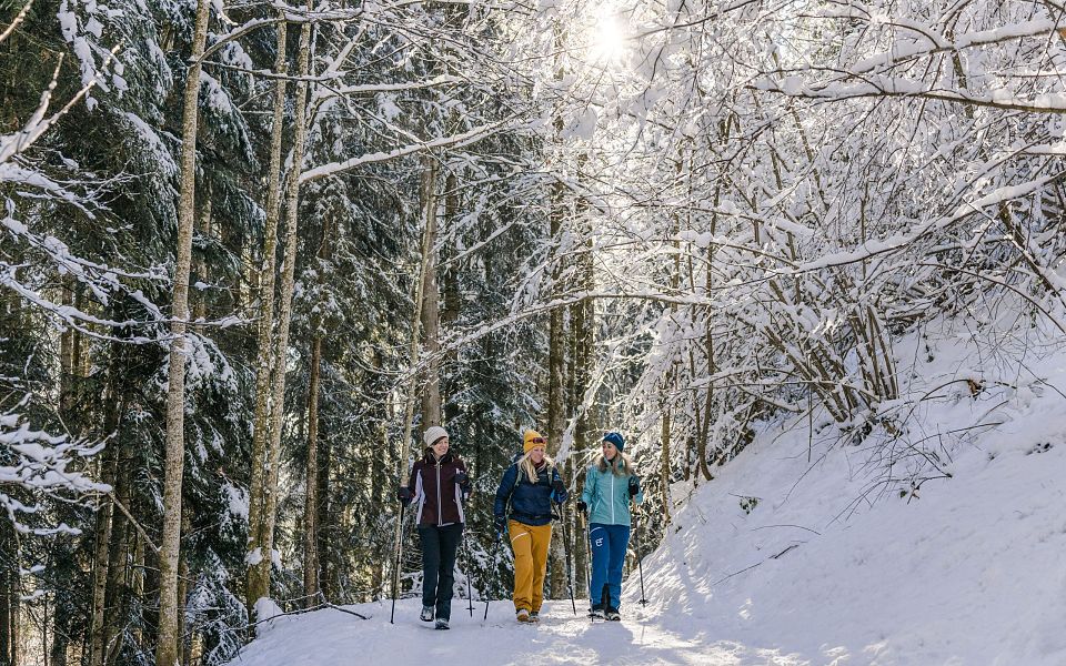Drei Personen wandern im Winter durch schneebedeckten Wald. Die Sonne scheint durch die Bäume und es liegt Schnee auf den Ästen.