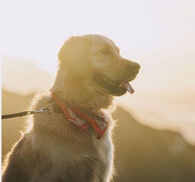 fotoworkshop-herbst2024-dominikateluchov-119-1-1