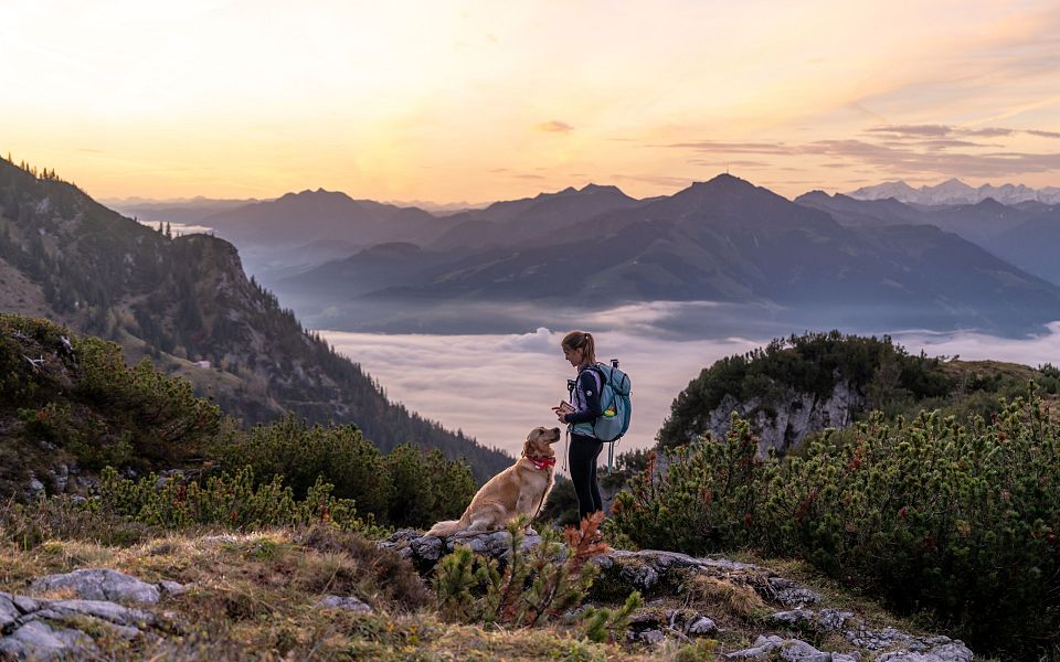 Wanderer mit Hund genießen den Sonnenaufgang in den Bergen. Im Hintergrund erstreckt sich eine nebelverhangene Talansicht mit sanften Bergketten.