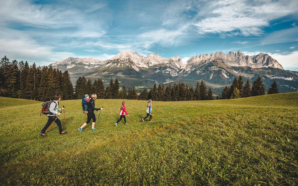 A group of hikers walks through a grassy field with the Wilder Kaiser mountains in the background, under a blue sky with scattered clouds.