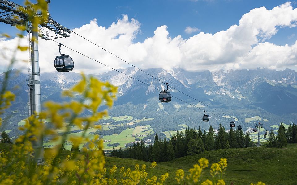 Blick auf schwebende Seilbahnkabinen vor einem majestätischen Bergpanorama mit grünen Tälern und blühenden Blumen unter einem blauen Himmel.