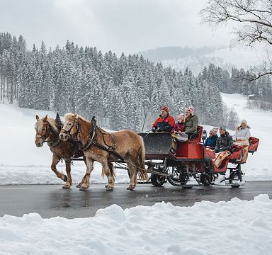 Horse-drawn sleigh with passengers on a snowy road in Wilder Kaiser region. Background of snow-covered trees and mountains creates a picturesque winter scene.