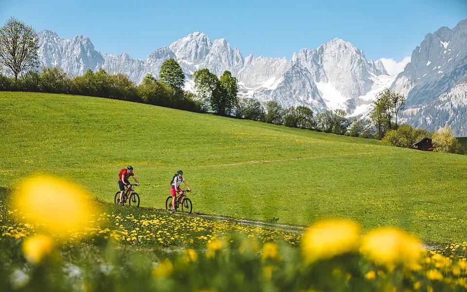 Two people cycling on a green meadow with the Wilder Kaiser mountains in the background, framed by yellow flowers under a clear blue sky.