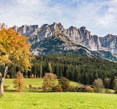 Herbstlandschaft mit bunten Bäumen und grünen Wiesen vor dem imposanten Bergmassiv des Wilden Kaisers unter blauem Himmel.