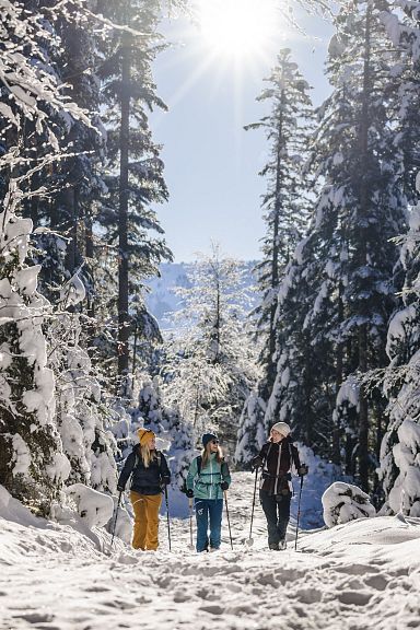 Drei Menschen wandern auf einem schneebedeckten Waldweg zwischen hohen, verschneiten Tannenbäumen. Die Sonne scheint hell durch den klaren Winterhimmel.