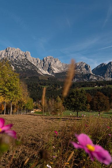 Majestätisches Bergmassiv Wilder Kaiser in der Abendsonne, umgeben von Wäldern und Tälern, mit kleinen Dörfern im Vordergrund unter einem klaren Himmel.