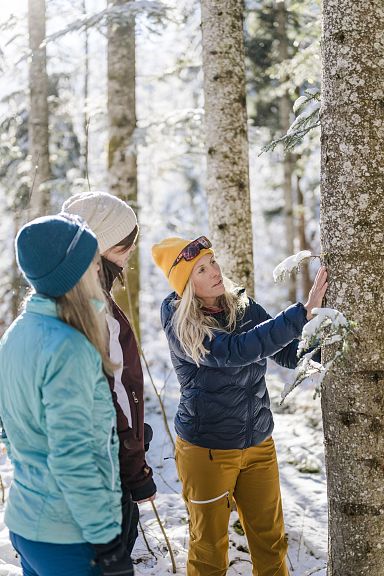Drei Personen in Winterkleidung betrachten einen verschneiten Baum im Wald. Eine Frau zeigt auf die Rinde, während die anderen aufmerksam zuhören.