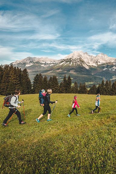 Mehrere Wanderer gehen über eine grüne Wiese in Richtung des majestätischen Wilder Kaiser Gebirgsmassivs, umgeben von Wald und unter einem blauen Himmel mit Wolken.