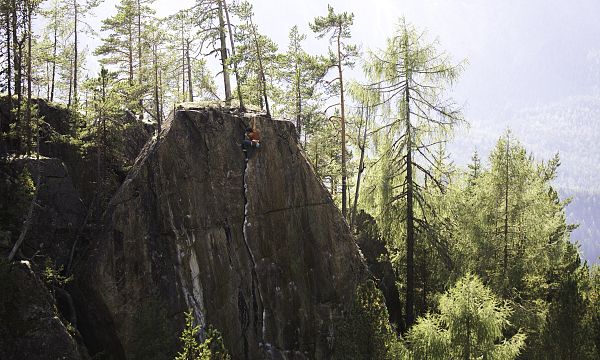 Ein Kletterer erklimmt eine steile Felswand inmitten eines dichten Waldes, umgeben von hohen Bäumen und sanftem Sonnenlicht in einer alpinen Berglandschaft.