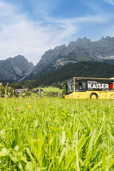 Gelber Bus mit Aufschrift "KaiserJet" fährt an einer grünen Wiese vorbei