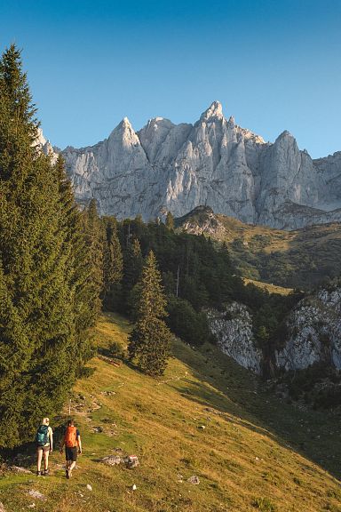 Zwei Wanderer gehen auf einem Pfad in alpiner Landschaft, umgeben von hohen, bewaldeten Bergen unter klarem, blauem Himmel.
