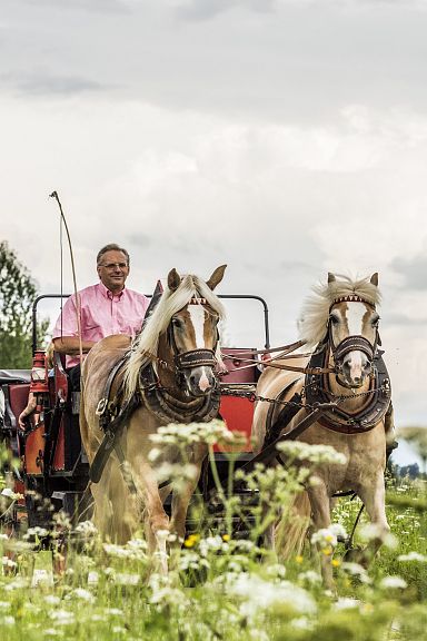 Ein Mann fährt in einem Pferdewagen durch eine grüne Wiese, umgeben von blühenden Pflanzen und Bäumen. Der Himmel ist bewölkt, und die Szene wirkt idyllisch.