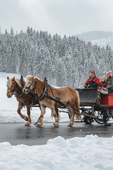 Pferdeschlitten mit Personen fährt durch verschneite Winterlandschaft, umgeben von schneebedeckten Bäumen und Hügeln.