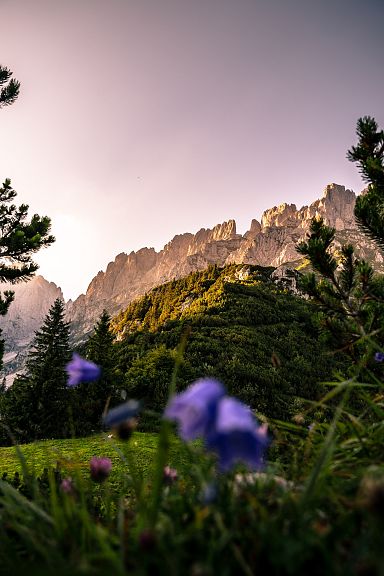 Ein beeindruckendes Bergpanorama mit steilen Felsformationen vor einem klaren Himmel, umgeben von grüner Vegetation und bunten Blumen im Vordergrund.