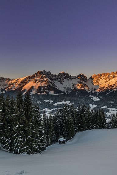 Winterlandschaft in Tirol mit schneebedeckten Bäumen im Vordergrund und dem majestätischen, von Abendlicht beleuchteten Bergmassiv im Hintergrund.