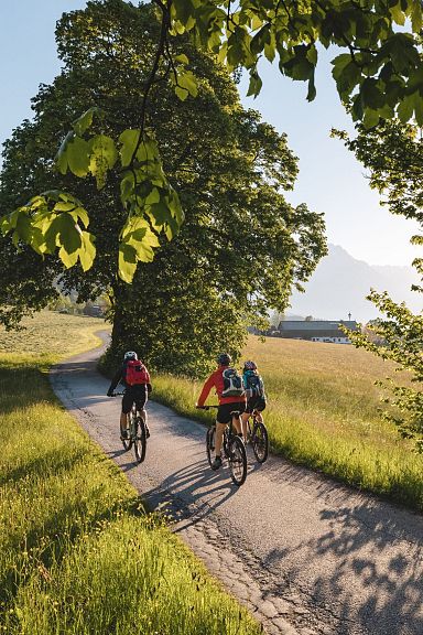 Drei Radfahrer fahren auf einem idyllischen Weg, umgeben von grünen Bäumen und Feldern, bei sonnigem Wetter mit einem Berg im Hintergrund.