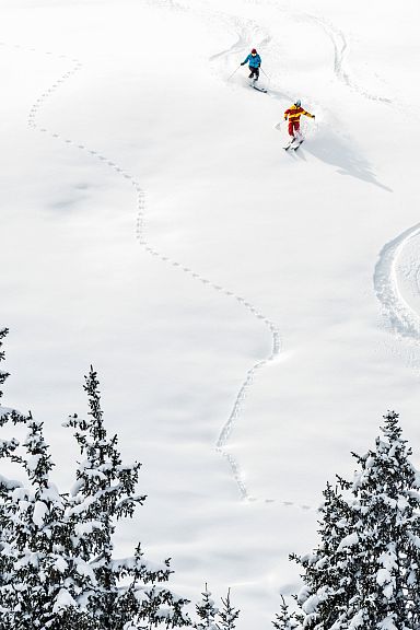 Two skiers glide down a pristine snowy slope at Wilder Kaiser, surrounded by snow-covered trees, creating graceful tracks under a clear sky.
