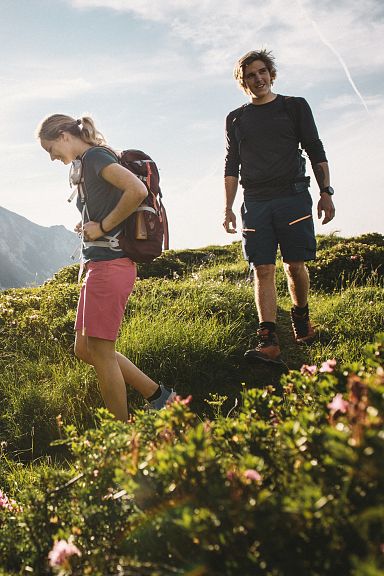 Zwei Personen wandern in einer alpinen Landschaft. Die Sonne scheint über einem Bergmassiv, während Blumen im Vordergrund blühen.