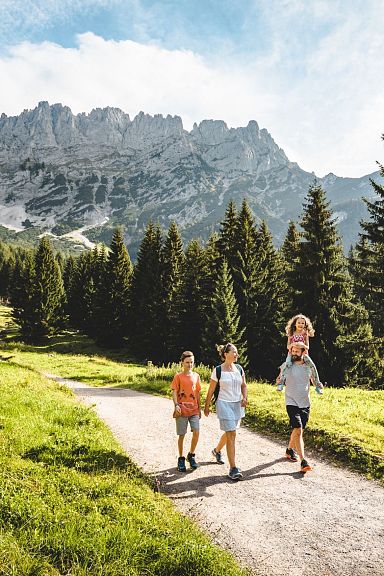 Familie wandert auf einem sonnigen Weg durch eine alpine Landschaft, umgeben von grünen Wiesen und hohen Tannen, mit einem imposanten Gebirgsmassiv im Hintergrund.