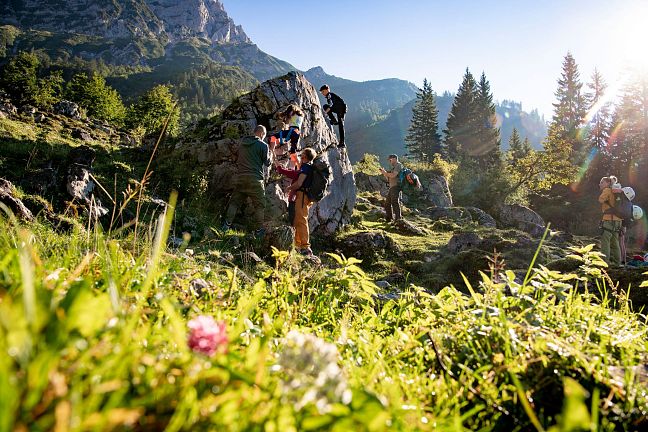 Ein sonniger Tag in den Alpen, Menschen klettern an einem Felsen inmitten grüner Wiesen und Bäume, im Hintergrund erhebt sich ein imposantes Bergmassiv.