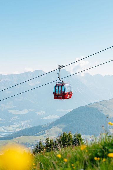 Zwei rote Seilbahngondeln schweben über eine grüne Berglandschaft mit blauen Himmel und Berghorizont im Hintergrund, gesäumt von gelben Wildblumen im Vordergrund.