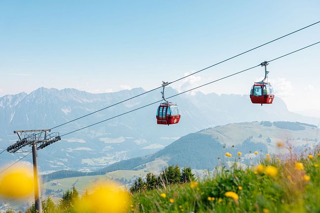 Zwei rote Seilbahngondeln schweben über eine grüne Berglandschaft mit blauen Himmel und Berghorizont im Hintergrund, gesäumt von gelben Wildblumen im Vordergrund.