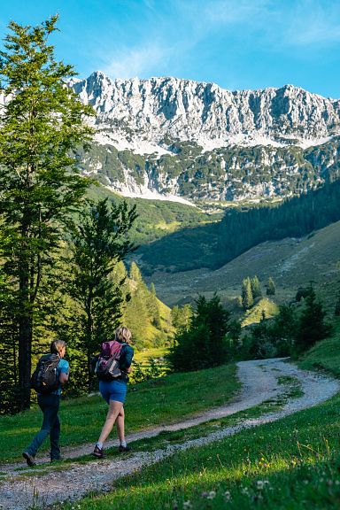 Zwei Wanderer gehen auf einem Pfad durch grüne Almwiesen, umgeben von Wäldern, mit einem beeindruckenden Bergmassiv im Hintergrund unter blauem Himmel.