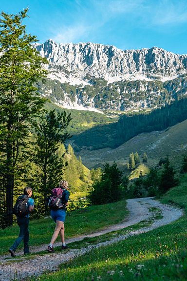 Zwei Wanderer gehen auf einem Pfad durch grüne Almwiesen, umgeben von Wäldern, mit einem beeindruckenden Bergmassiv im Hintergrund unter blauem Himmel.