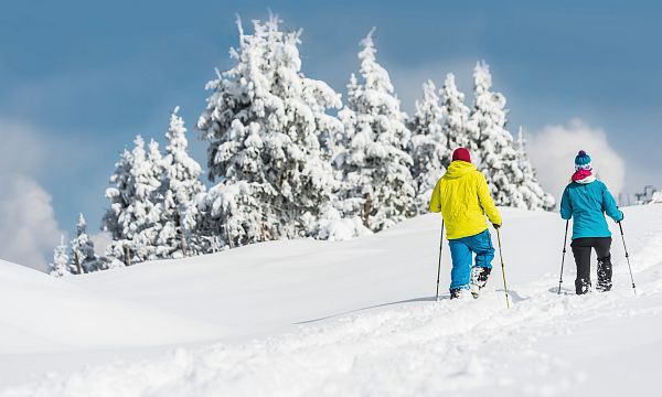 Zwei Personen wandern mit Skistöcken im tiefen Schnee, umgeben von schneebedeckten Tannenbäumen. Der Himmel ist blau und klar, eine idyllische Winterlandschaft.