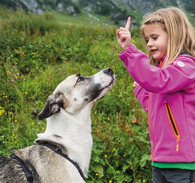 Girl in a pink jacket gestures to a dog in a mountain meadow, surrounded by green grass and wildflowers in the Wilder Kaiser region.