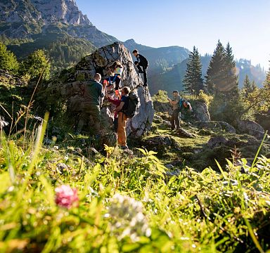 Group of hikers climbing a rocky path in the Wilder Kaiser, framed by lush greenery and a towering mountain backdrop under a sunny sky.