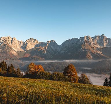 Panoramablick auf das Wilder Kaiser Gebirge im Herbst, mit bunten Bäumen im Vordergrund und einem klaren blauen Himmel im Hintergrund.