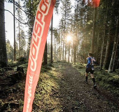 Ein Läufer in Sportkleidung joggt einen Waldweg entlang, während die Sonne durch die Bäume scheint. Ein rotes Banner ist links im Bild sichtbar.