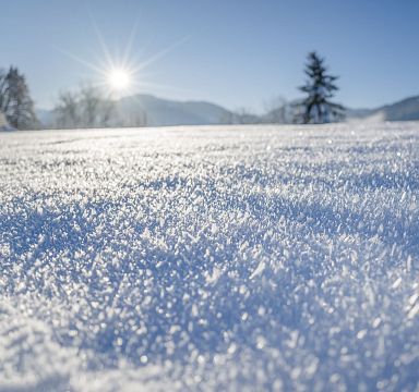 Winterliche Landschaft mit schneebedeckter Fläche glitzert in der Sonne. Im Hintergrund sind Bäume und verschwommene Berge unter klarem, blauem Himmel zu sehen.