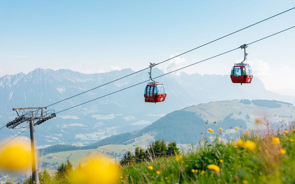 Zwei rote Seilbahngondeln schweben über eine grüne Berglandschaft mit blauen Himmel und Berghorizont im Hintergrund, gesäumt von gelben Wildblumen im Vordergrund.