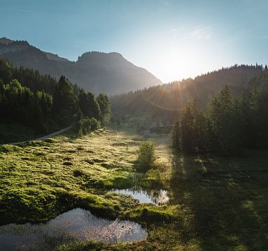 wilderkaiser-kaiserblute-moor-matgartner-2025-101-1