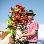 Ein junger Mann in traditioneller Kleidung steht neben einer geschmückten Kuh vor einer Alpenkulisse. Die Kuh trägt einen farbenfrohen Blumenschmuck auf dem Kopf.