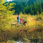 Eine Familie steht an einem ruhigen, naturnahen Teich im Wald. Die Umgebung ist grün und üppig, die Sonne scheint, und Kinder erkunden neugierig die Umgebung.